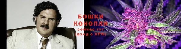 шишки Алексин