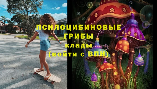 гидра Арсеньев