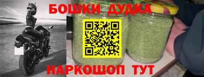молекула духа Шелехов