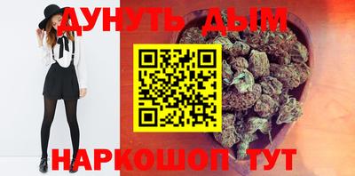 молекула духа Шелехов