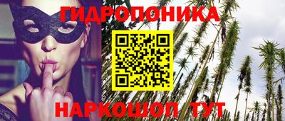 молекула духа Шелехов