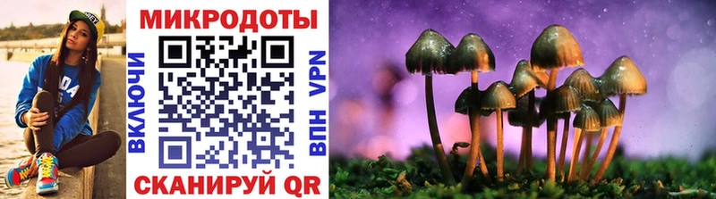 Галлюциногенные грибы Psilocybe  Баксан 