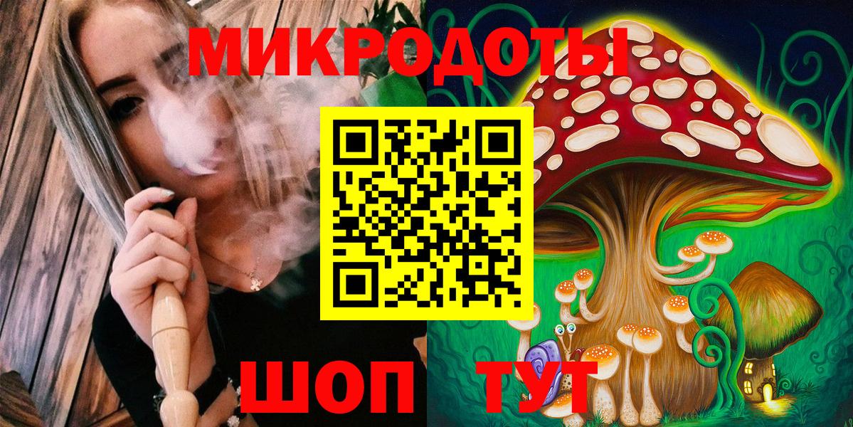 Псилоцибиновые грибы Cubensis Баксан